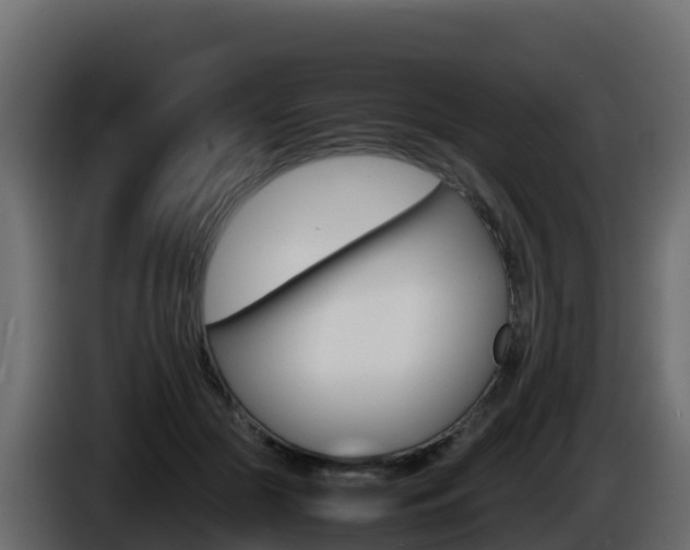 X0000086030553200703230957