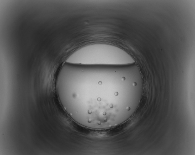 X0000086030554200703230957
