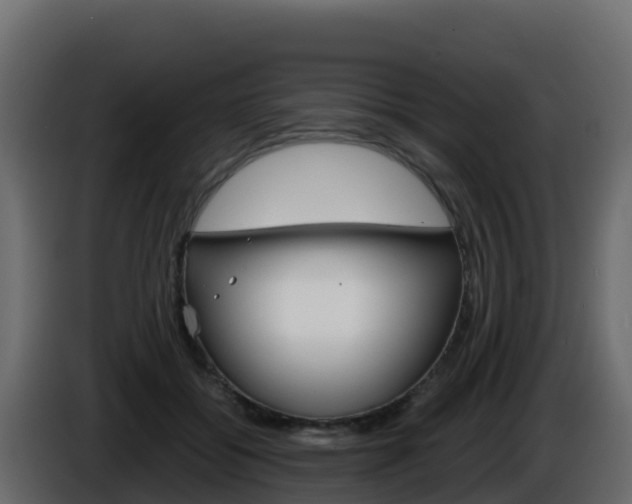 X0000086030556200703230957