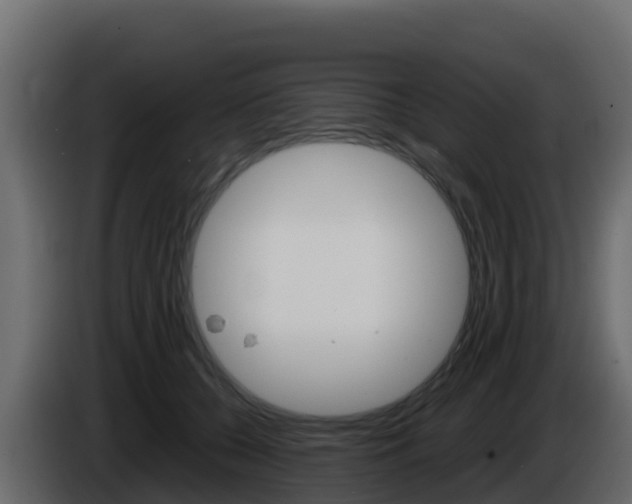 X0000086030560200703230957