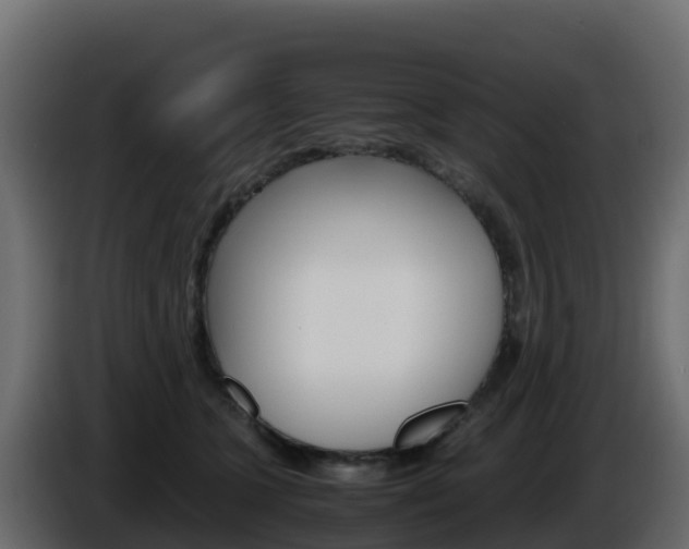 X0000086030563200703230957