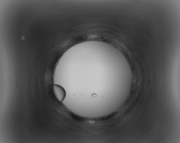 X0000086030565200703230957