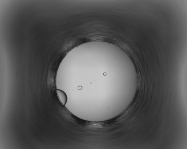 X0000086030573200703230957