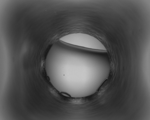 X0000086030574200703230957