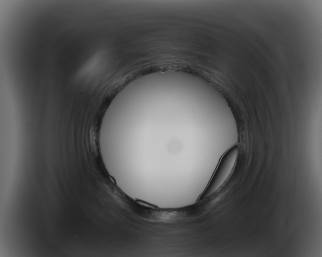 X0000086030575200703230957