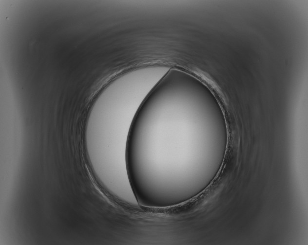 X0000086030577200703230956