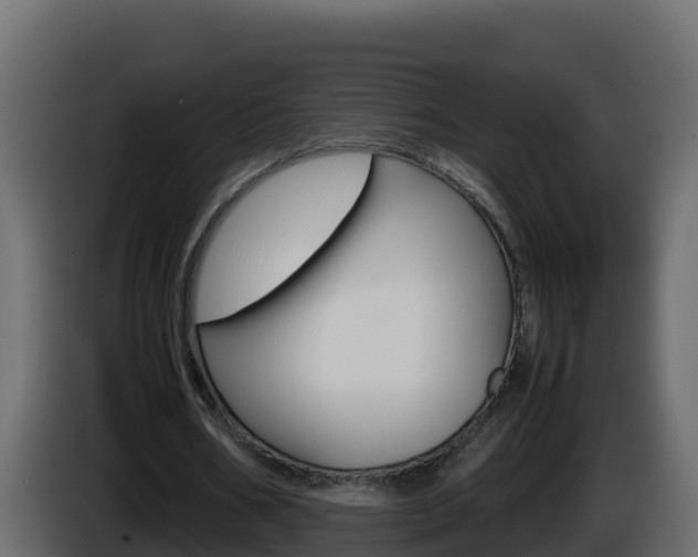 X0000086030578200703230956