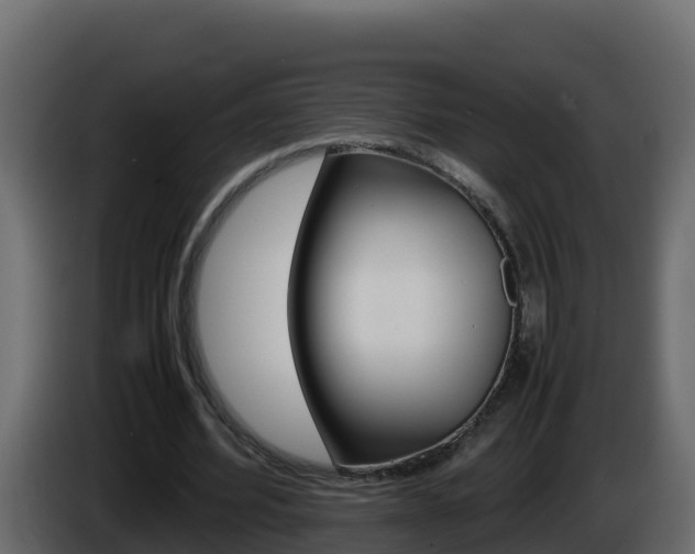 X0000086030580200703230956