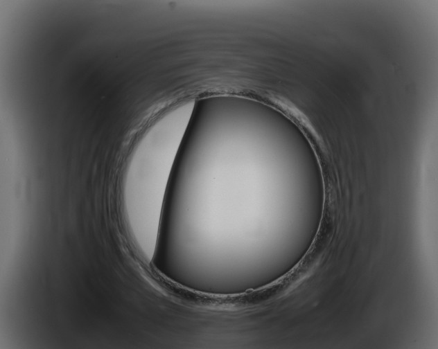 X0000086030581200703230956