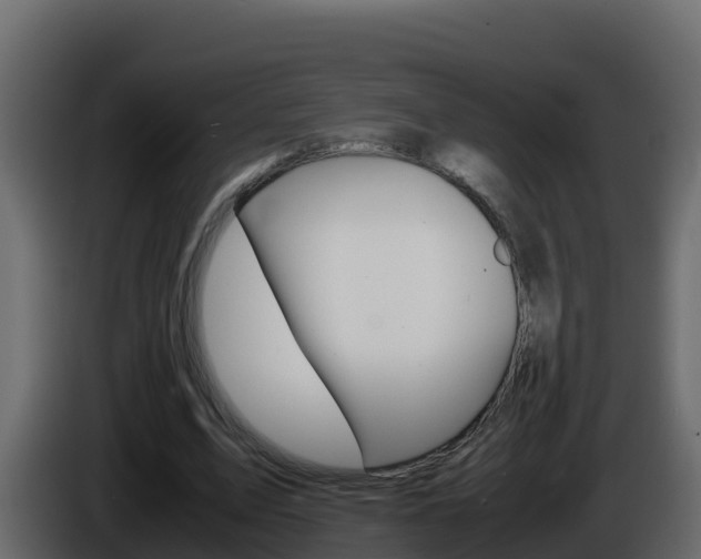 X0000086030583200703230956