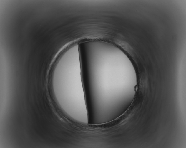 X0000086030584200703230956
