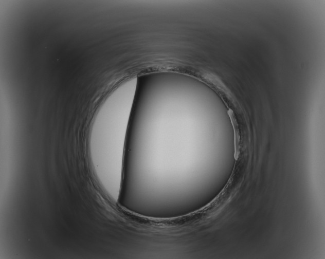 X0000086030585200703230956