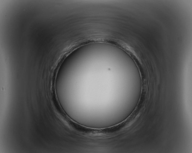 X0000086030589200703230956