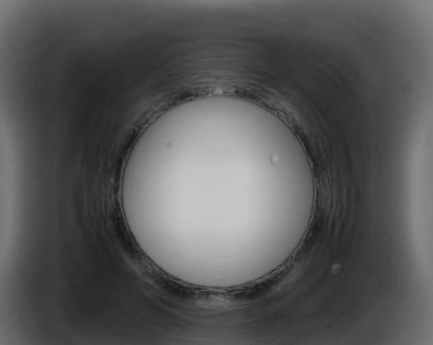 X0000086030594200703230956