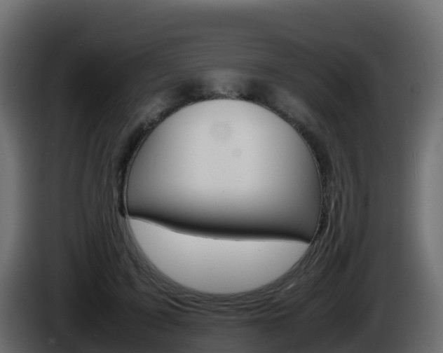 X0000086030595200703230956