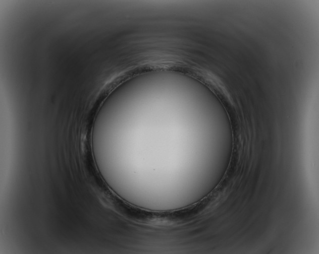 X0000086030596200703230956