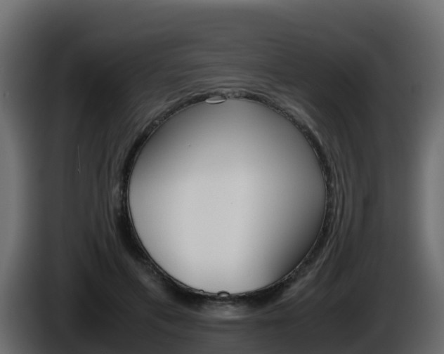 X0000086030597200703230956