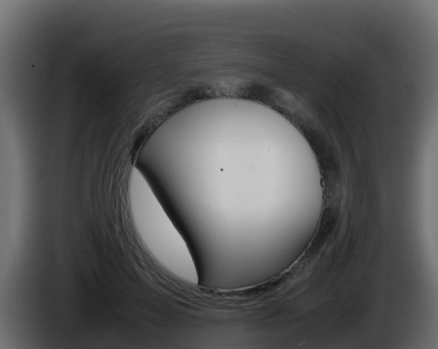 X0000086030599200703230956