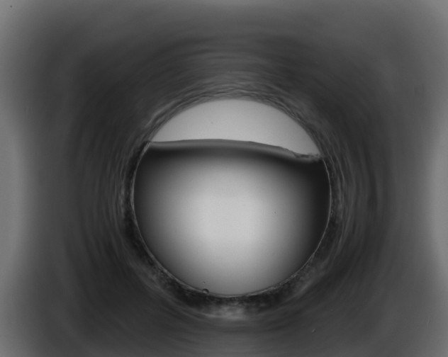 X0000086030600200703230956