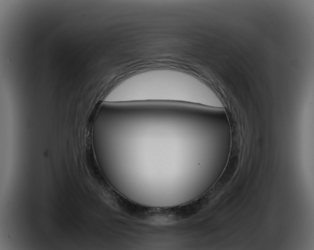 X0000086030601200703230956