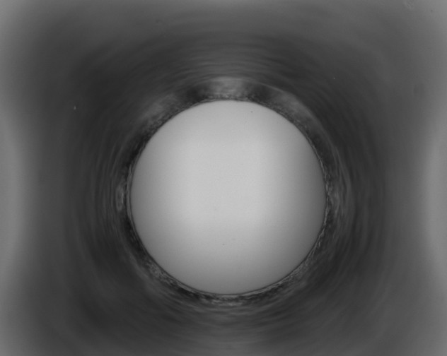X0000086030602200703230956