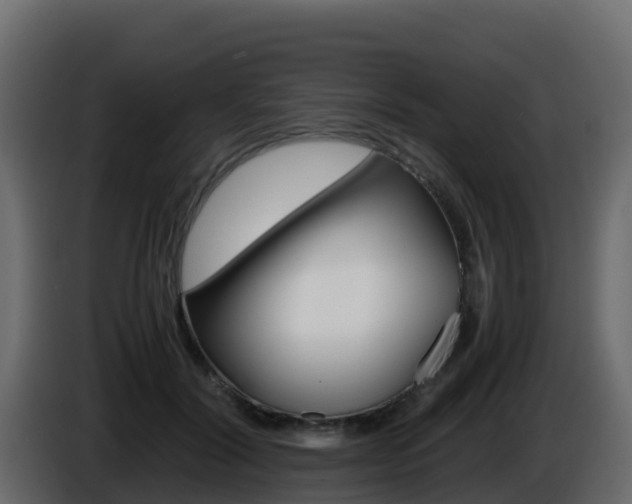 X0000086030604200703230956