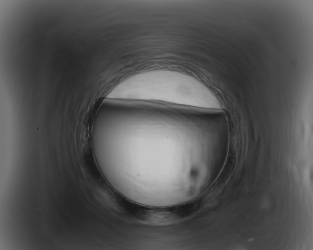 X0000086030605200703230956