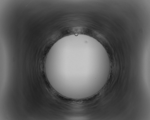 X0000086030606200703230956