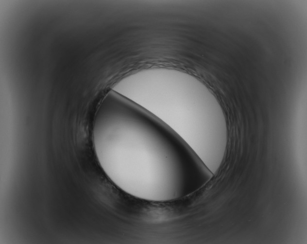 X0000086030608200703230956