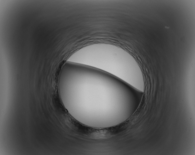 X0000086030609200703230956
