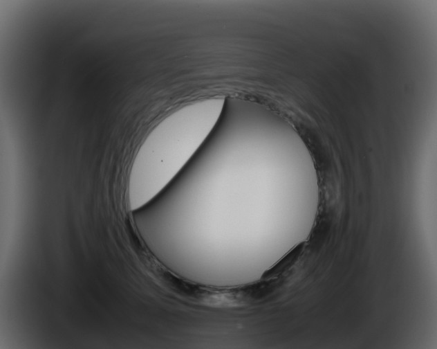 X0000086030611200703230956