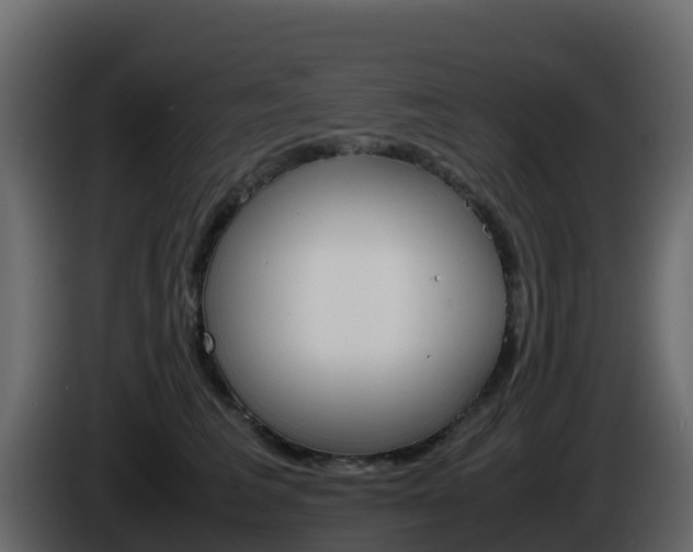 X0000086030613200703230956