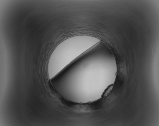 X0000086030615200703230956