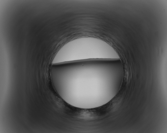 X0000086030616200703230956