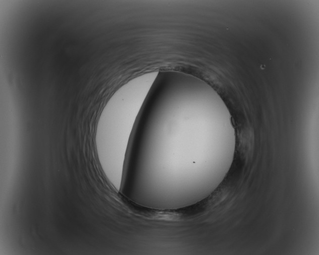 X0000086030617200703230956