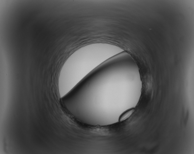 X0000086030619200703230956