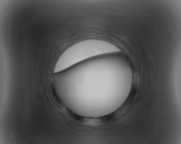 X0000086030621200703230956
