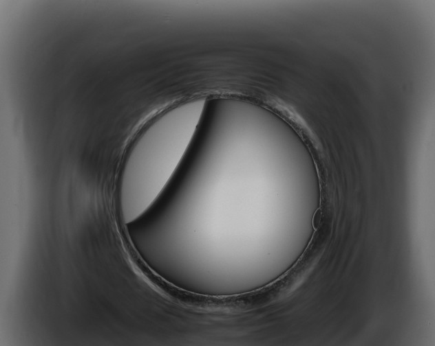 X0000086030625200703230955