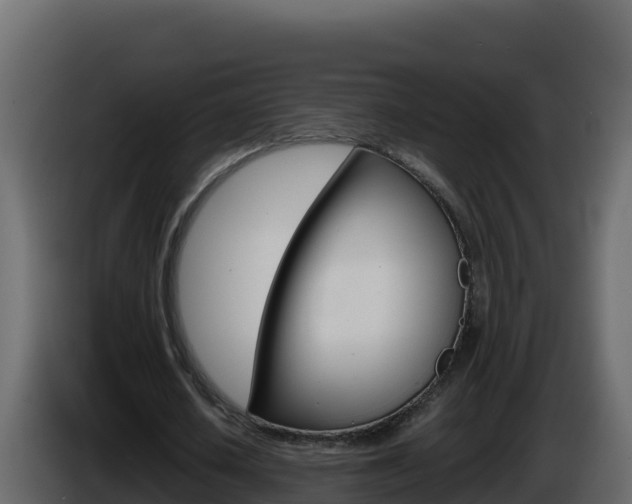 X0000086030626200703230955