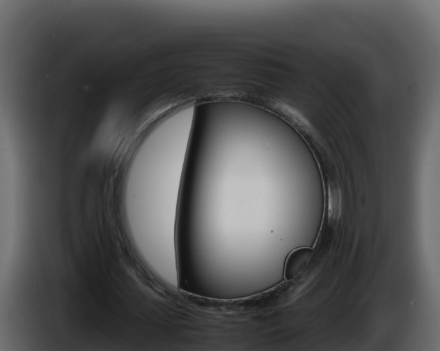 X0000086030627200703230955