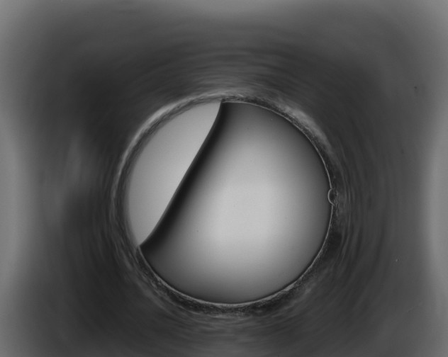 X0000086030628200703230955