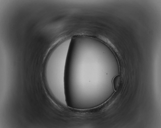 X0000086030629200703230955
