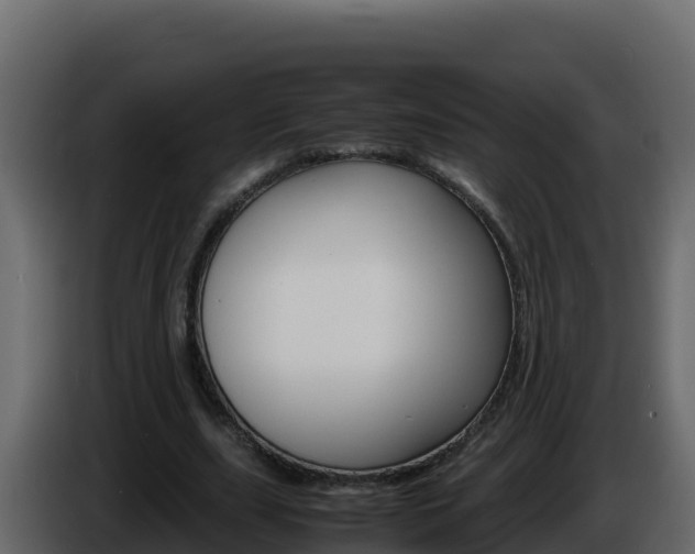 X0000086030631200703230955