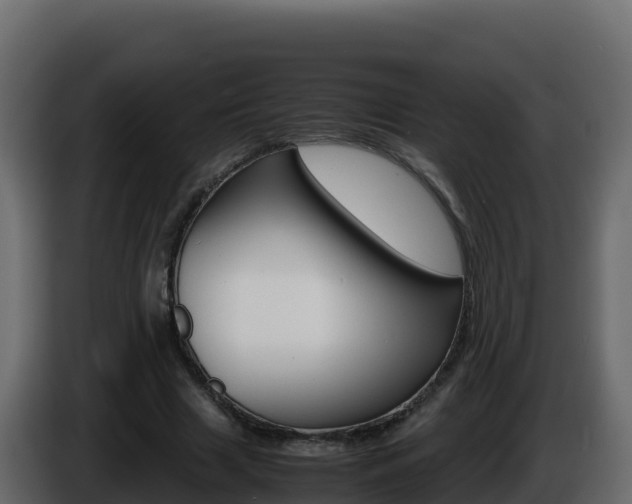 X0000086030633200703230955