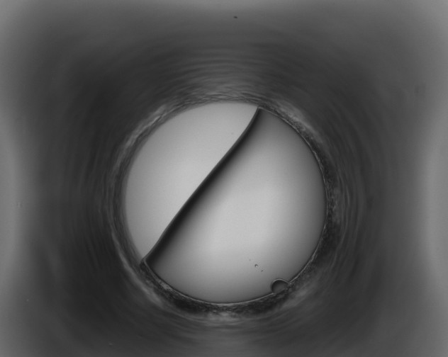 X0000086030634200703230955