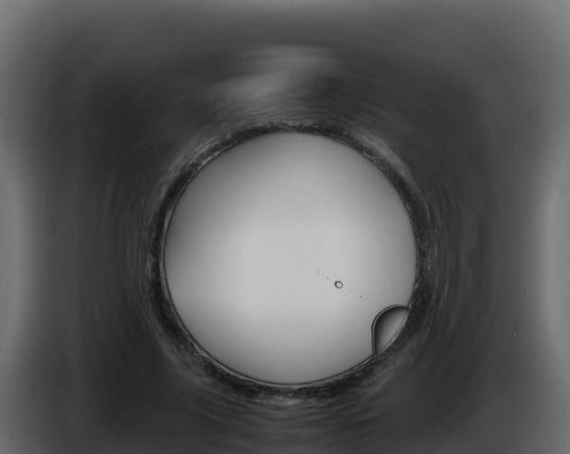 X0000086030635200703230955
