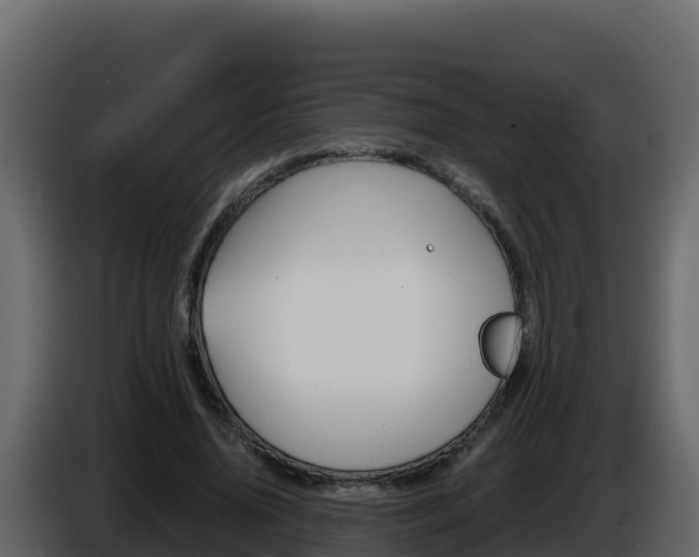 X0000086030636200703230955