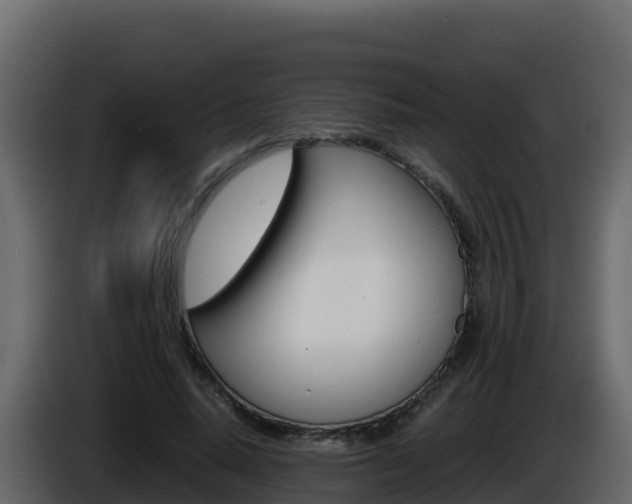 X0000086030640200703230955