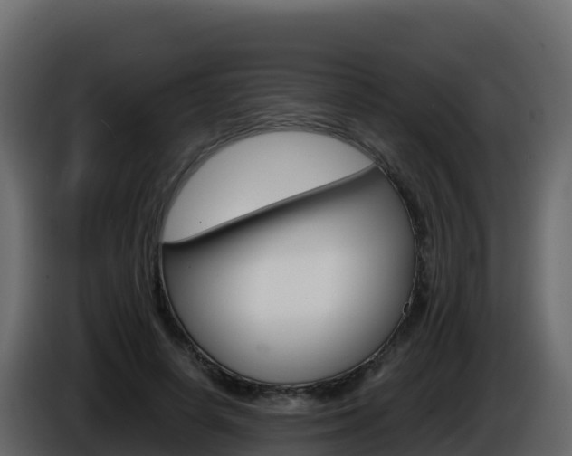 X0000086030642200703230955