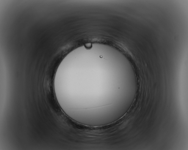 X0000086030643200703230955